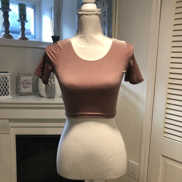 American Apparel Tops - American Apparel Starlight Pink Velvet Crop Top